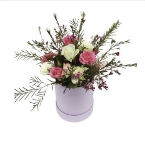 Bloom Box